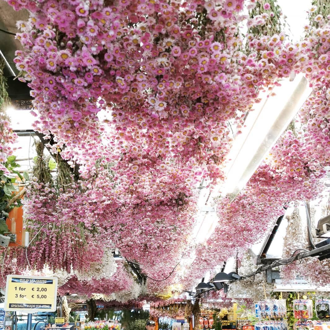 Anka`s Instagram. Заставка