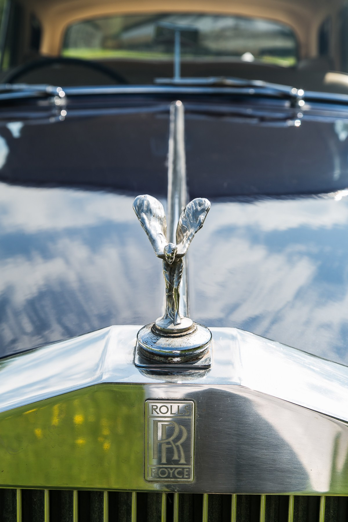 ДЕНЬ РОЖДЕНИЯ Конный клуб. Главная