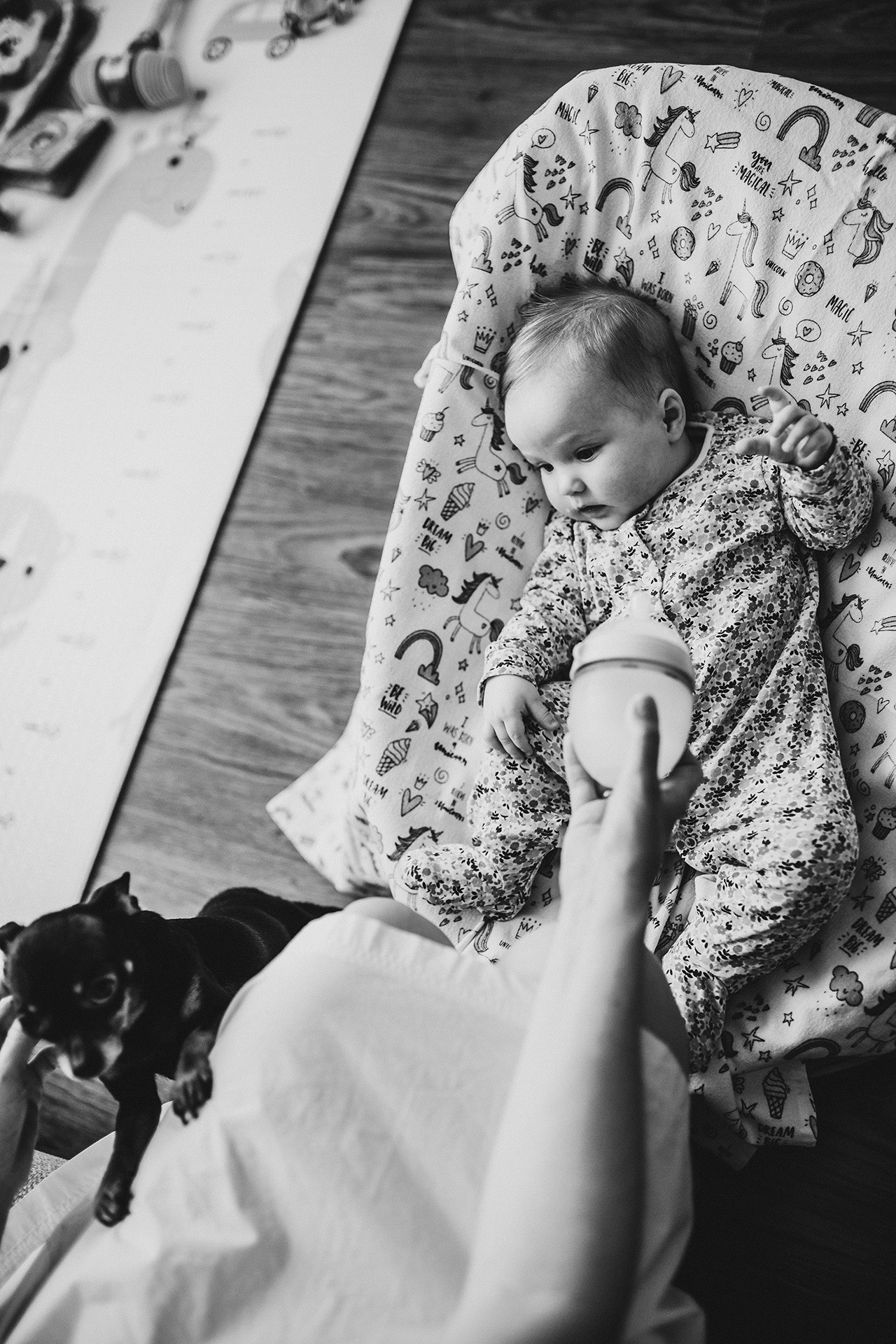 Услуги и цены. Семейный фотограф Москва