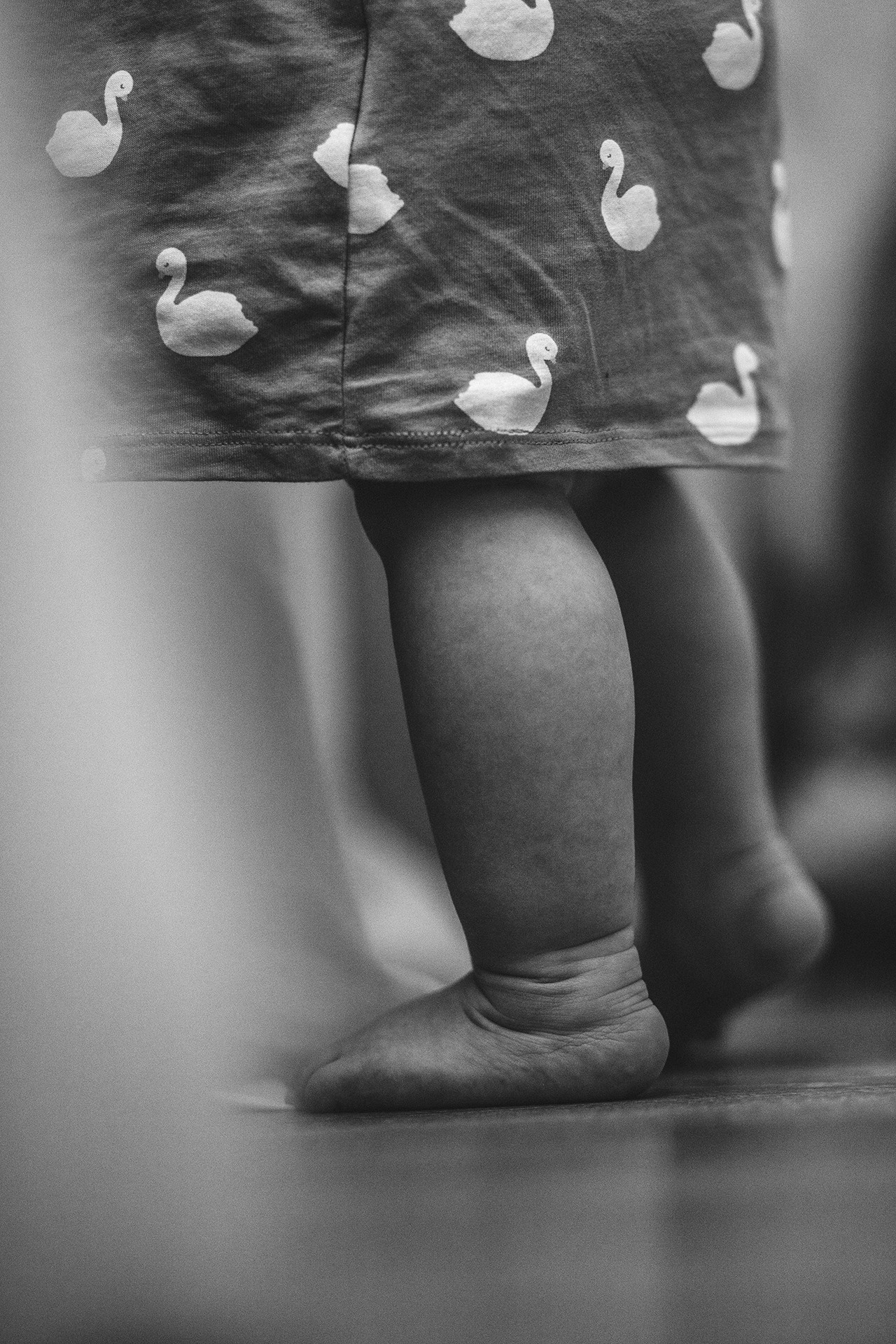 Услуги и цены. Семейный фотограф Москва