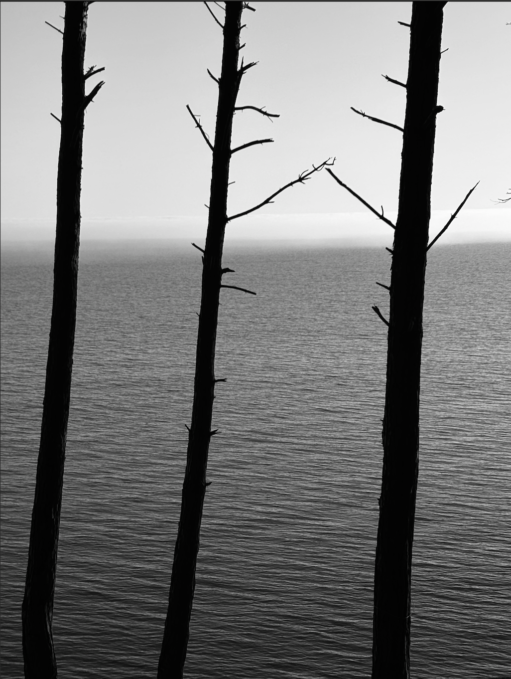 Ю & Н. Свадебный фотограф в Спб и Москве