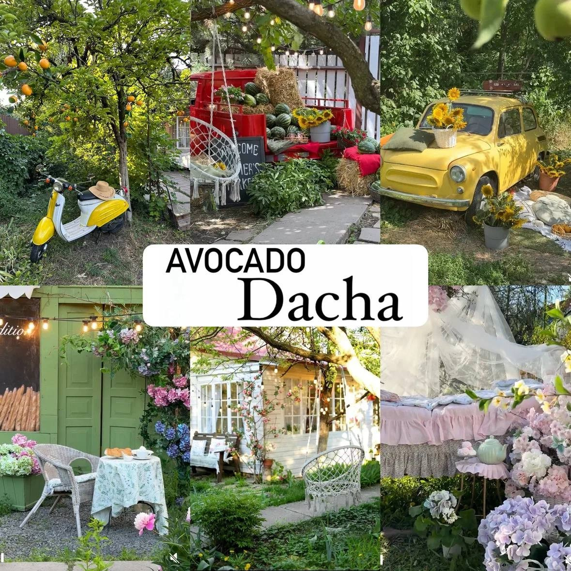 Фотостудия Avocado Дача