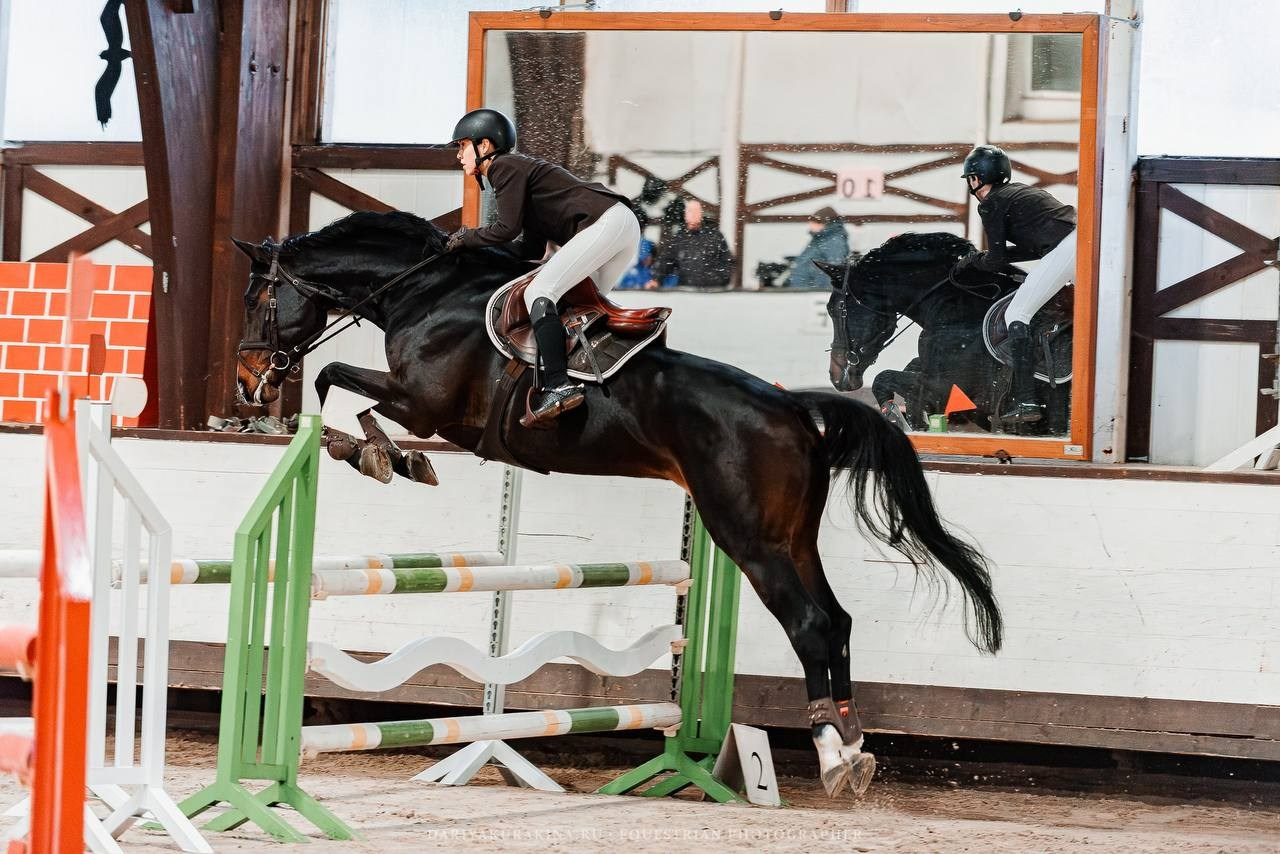 ОТКРЫТИЕ ЗИМНЕГО СЕЗОНА ПО КОНКУРУ В КСК «БЕЛАЯ ДАЧА». Куракина Дарья • Конный фотограф