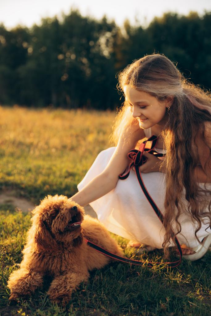 Воздушный змей, закат, любимые рядом. Свадебный и семейный фотограф Оля Сугробчик. Арзамас, Нижний Новгород и область