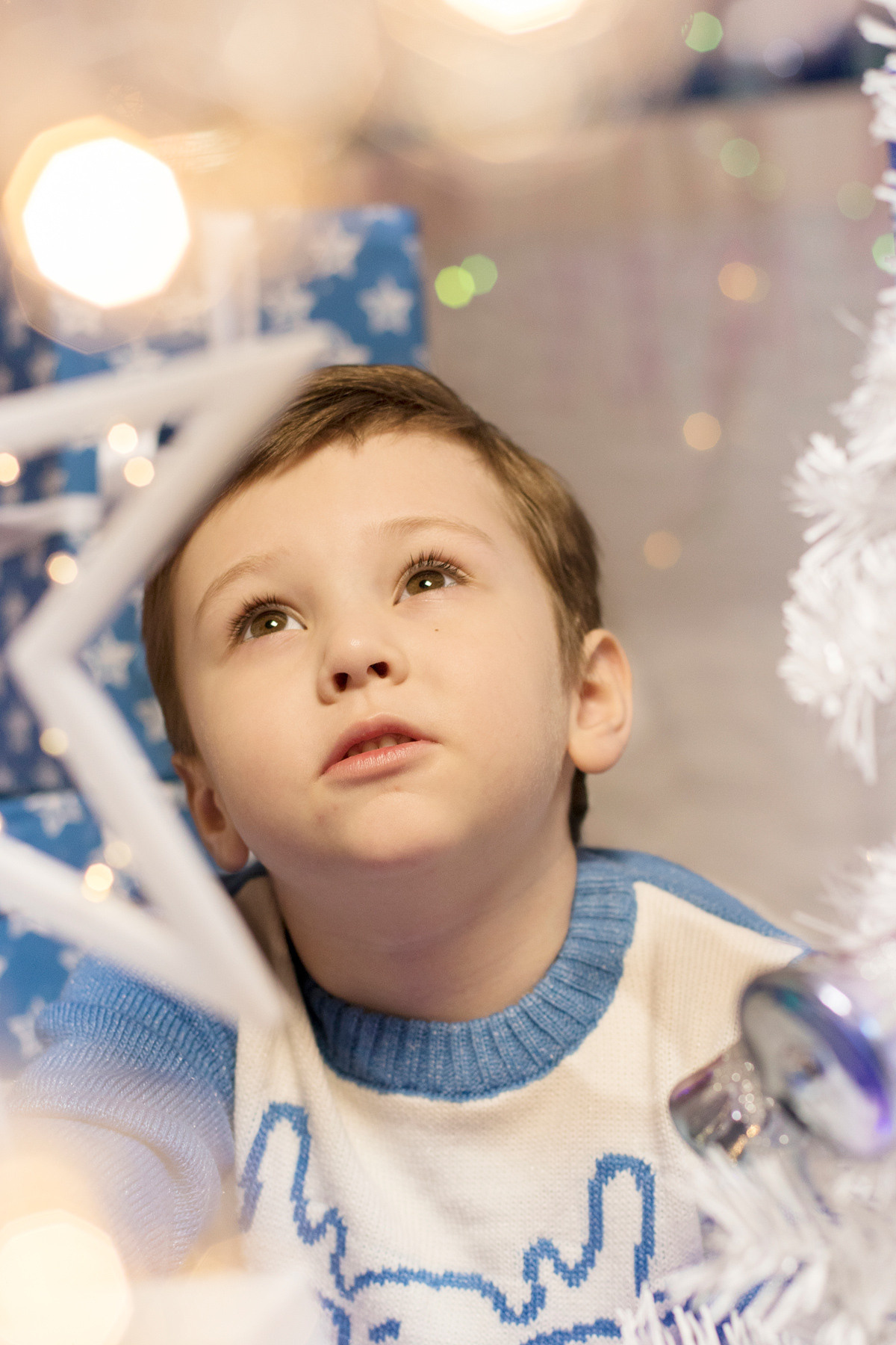 НОВОГОДНИЕ. Фотосалон Рудня. Волгоградская область. Фотограф Вера