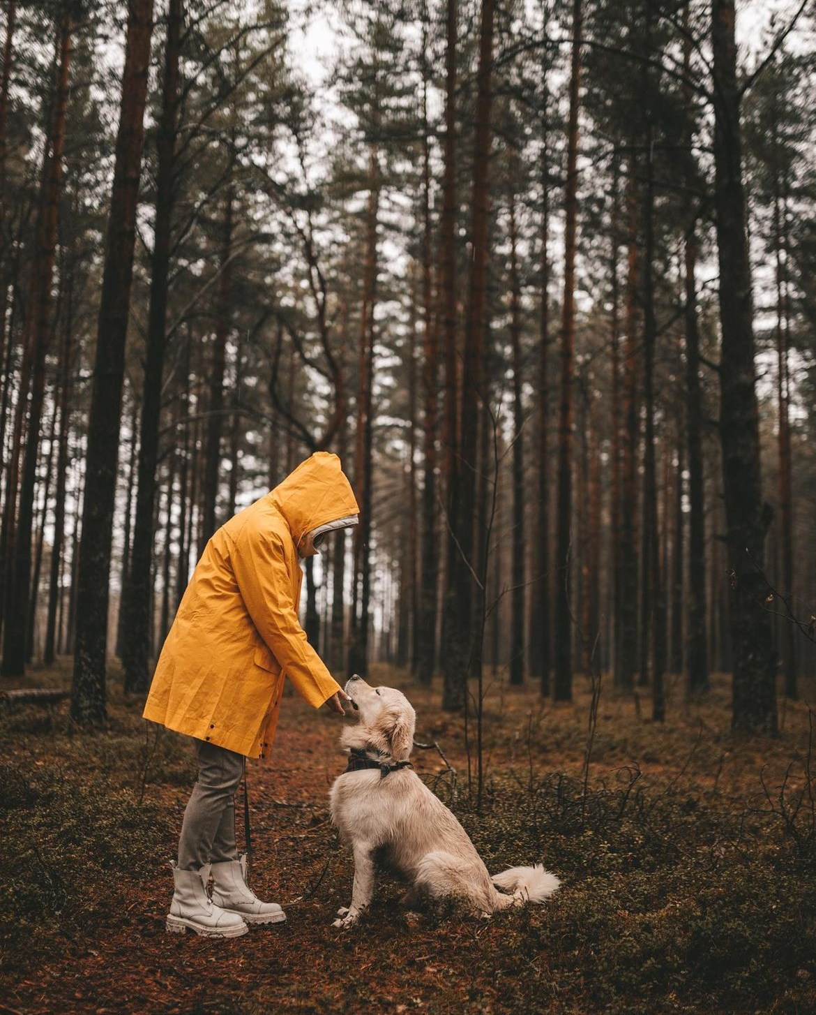 Индивидуальные. Фотограф Санкт-Петербург