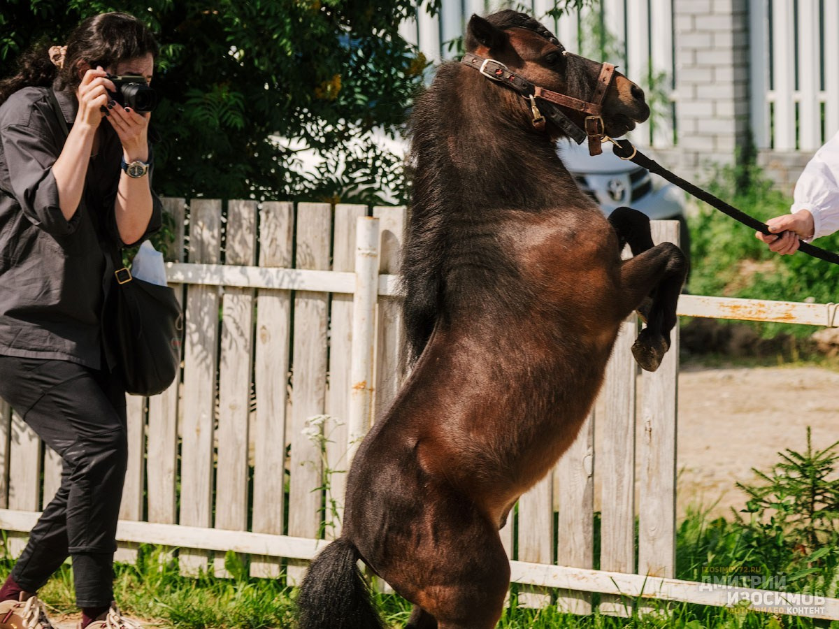 Скачки фаворитов 2024