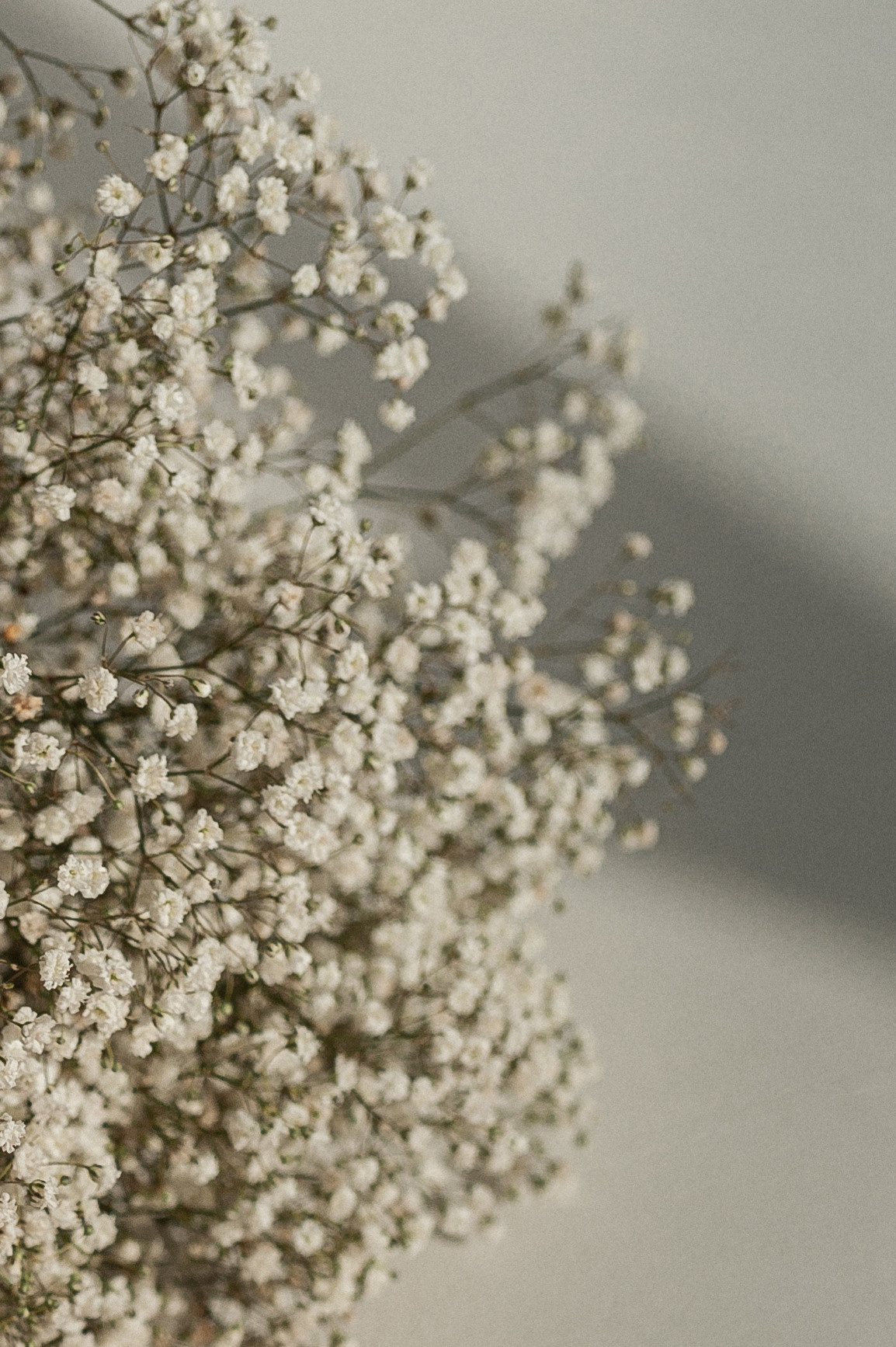 Аня. Www.ostermiller.ru