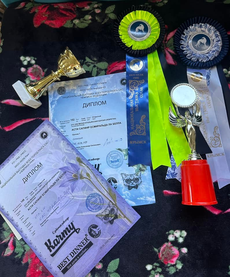 Asti Sapphire Esmeralda La Bella. Профессиональный питомник левреток РКФ/FCI ASTI SAPPHIRE 💎 Сочи|Санкт-Петербург