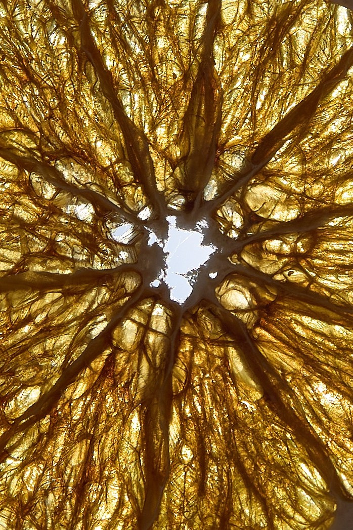 Добро пожаловать в Семью!. Обо мне