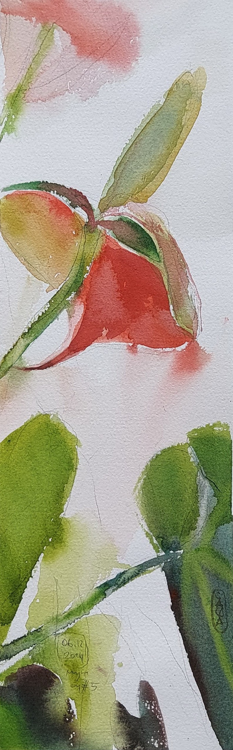 Flowers. Alexander Manaenkov | Watercolor Artist from Siberia