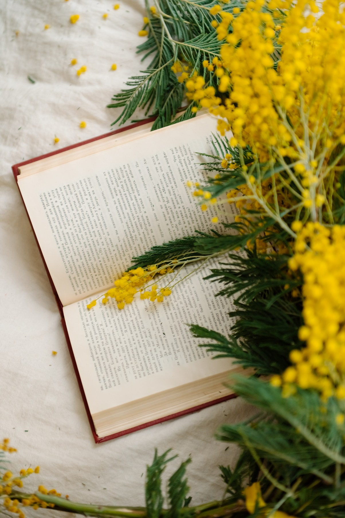Анастасия с мимозой. Свадебный и сеейный фотограф в Санкт-Петербурге Елена Худякова