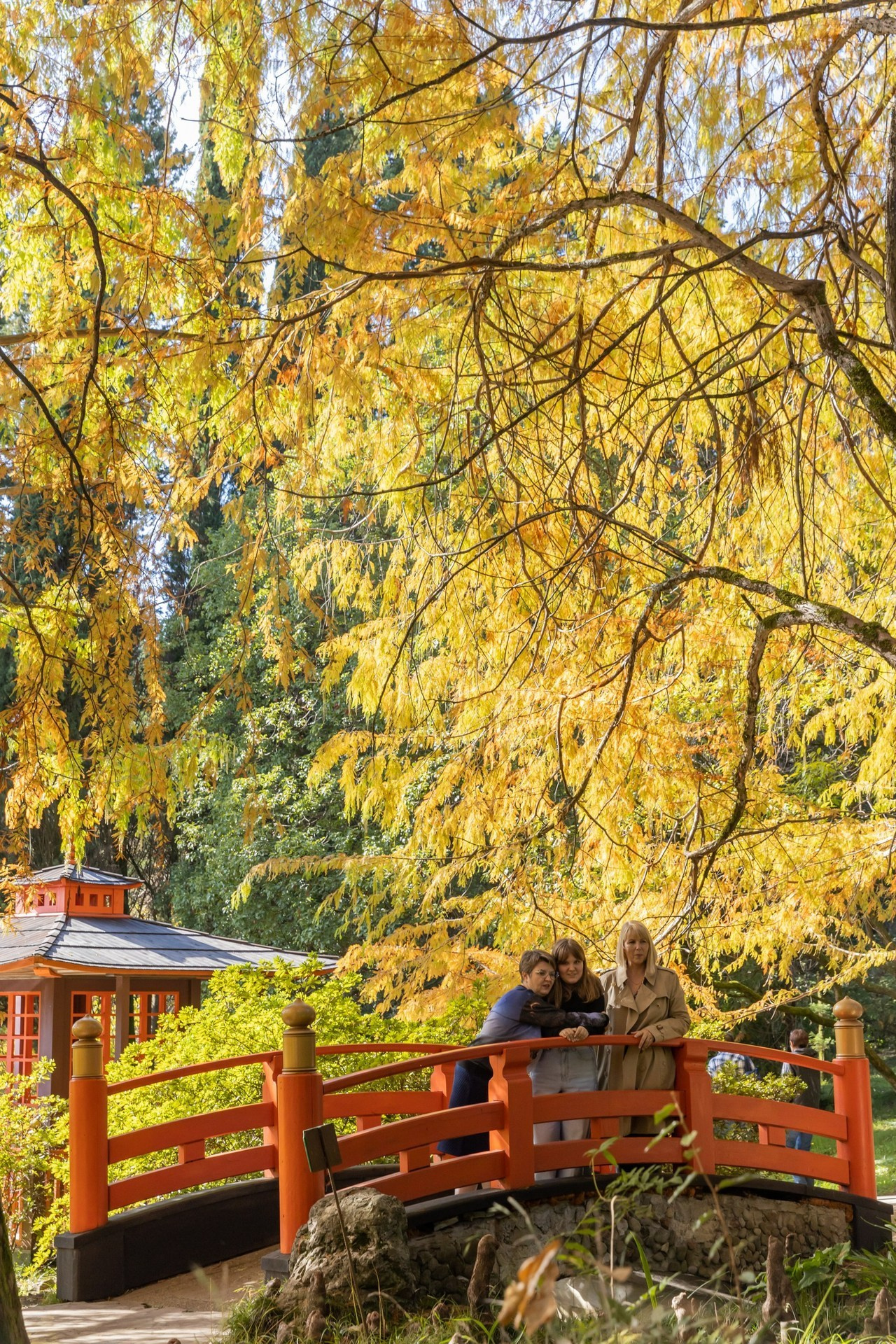 Отзывы. Семейный фотограф в Сочи Анна Мальцева