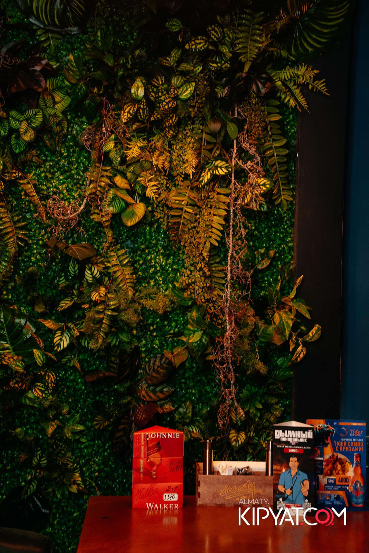 VICE CITY. КИПЯТКОМ АЛМАТЫ! Фотосъемка мероприятий в Алматы