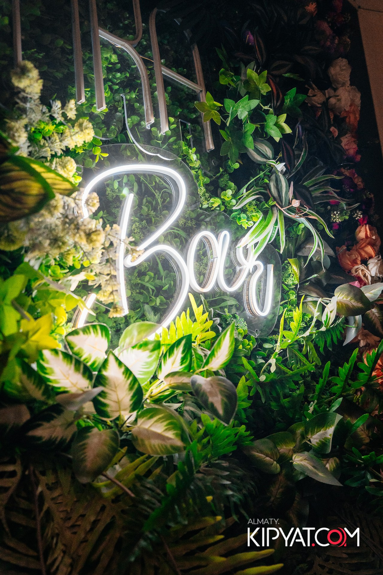 НАКАТИКА. КИПЯТКОМ АЛМАТЫ!