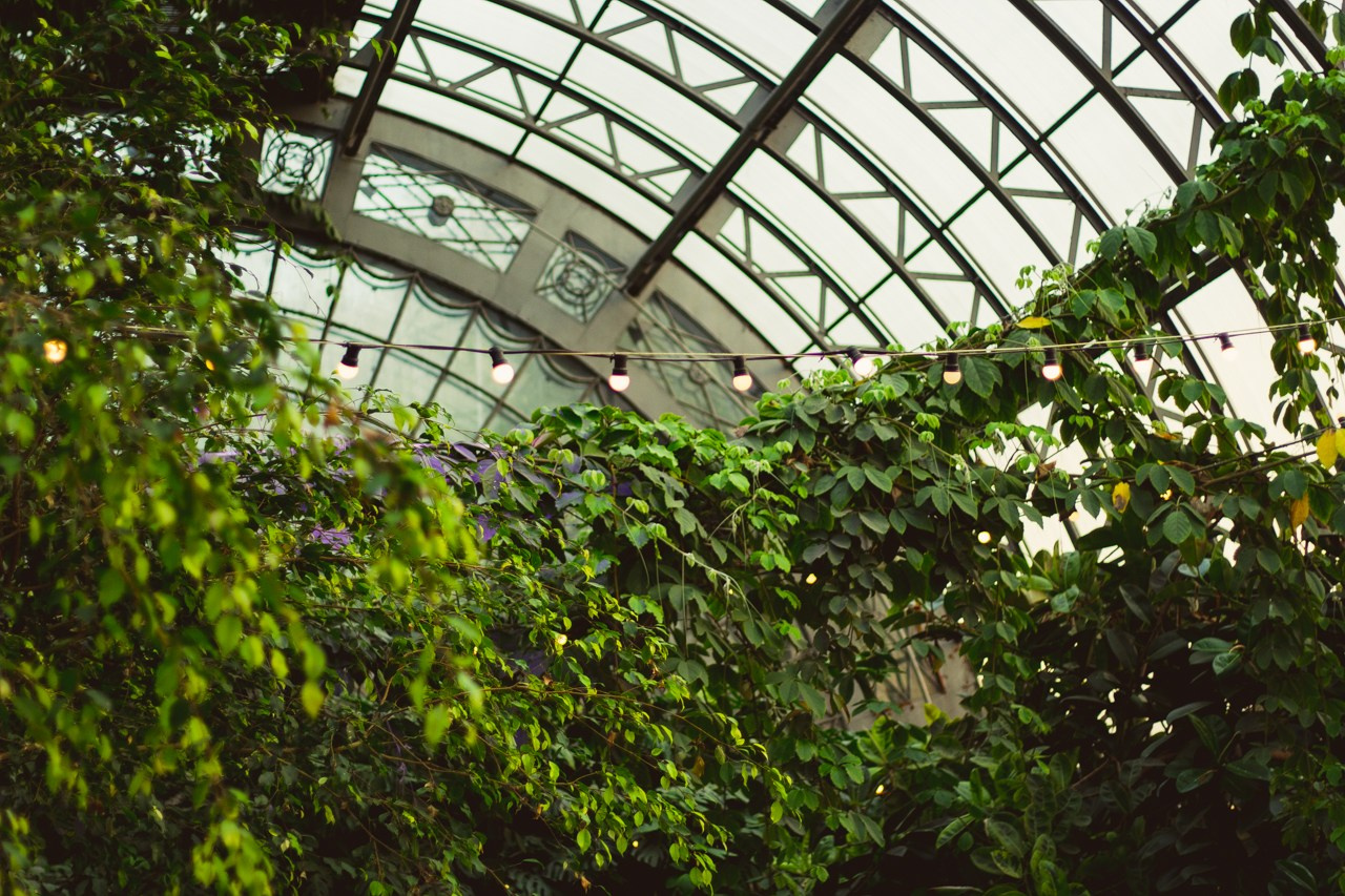 Petro Art — квартет в Таврическом саду (Рок Хиты). EvgenyCraft