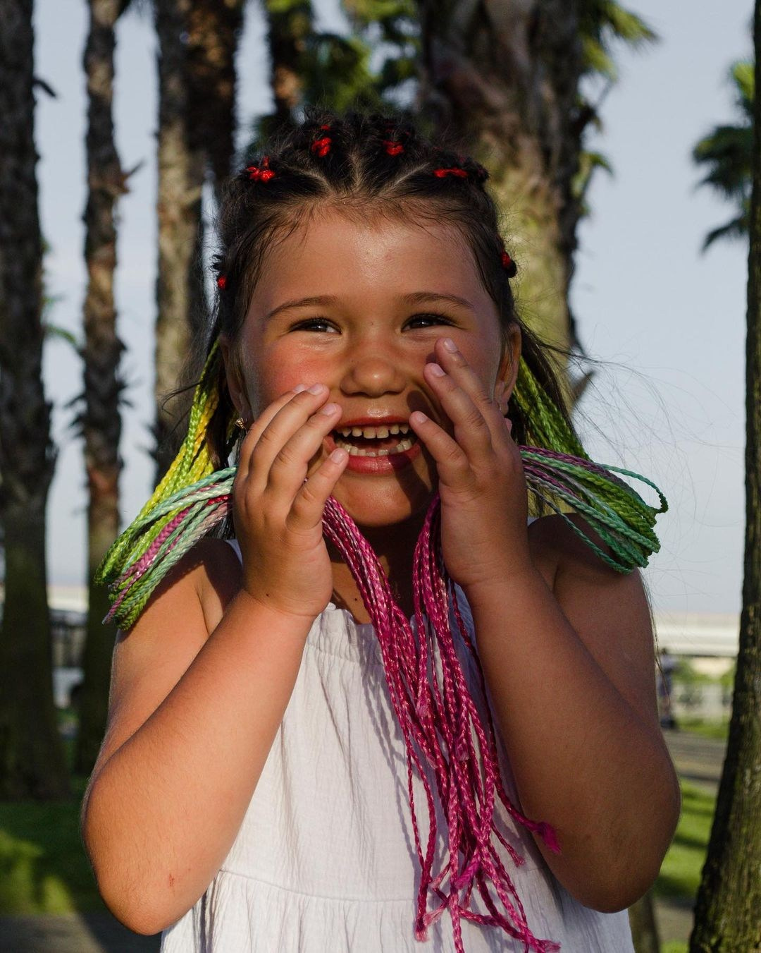 Palm. Фотограф