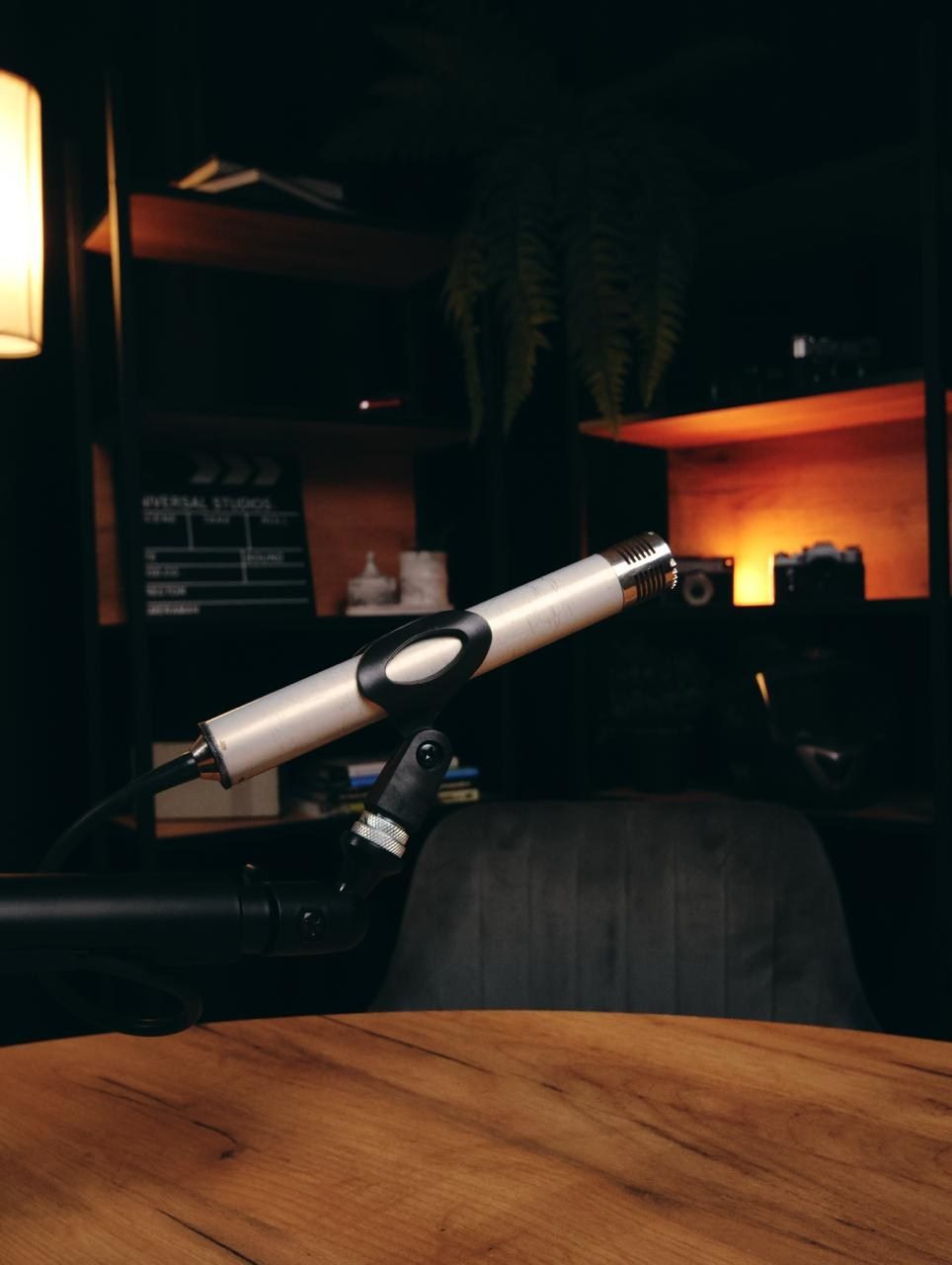 Зона подкастов. Свадебный и репортажный фотограф Дмитрий Кононенко