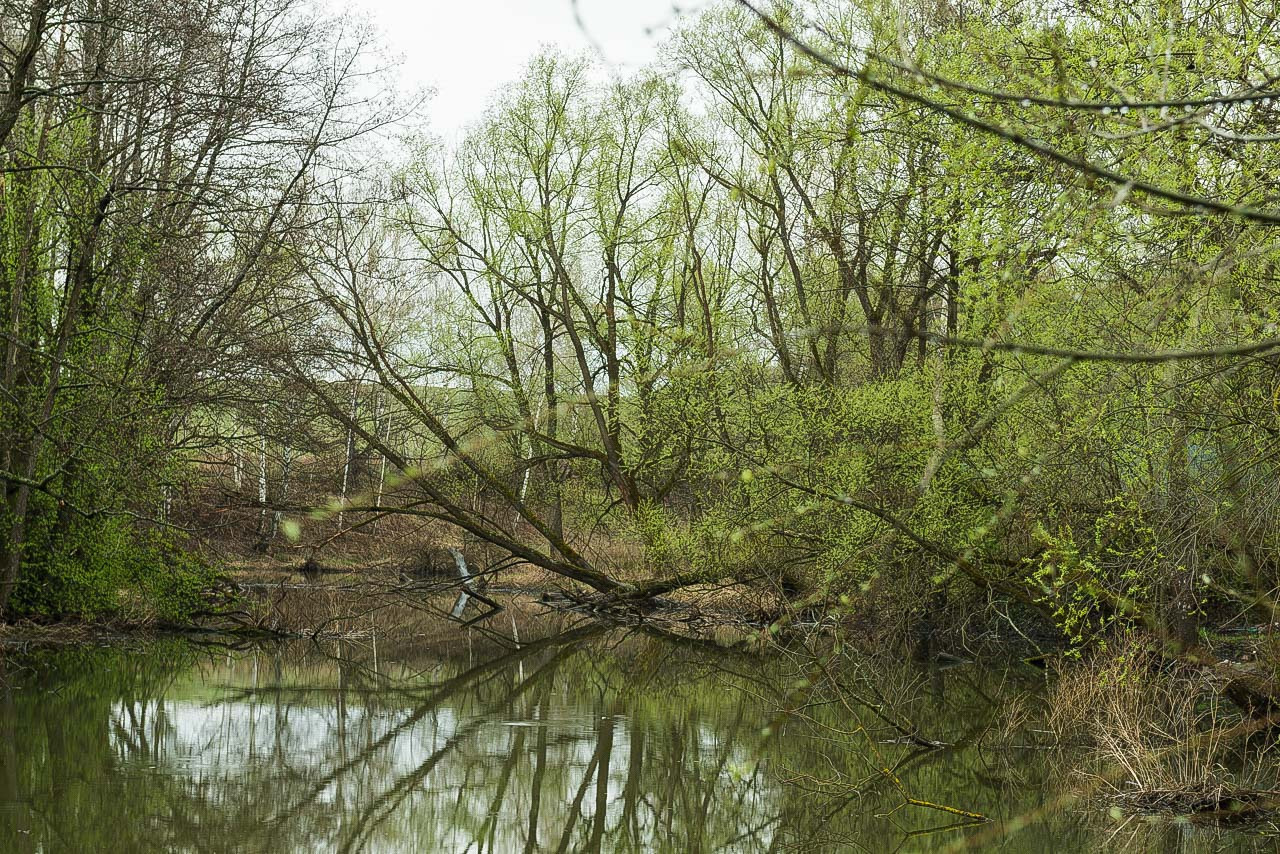 Рязань-Касимов. Друзья. Юлия Розанова, коммерческий фоторепортаж в Москве