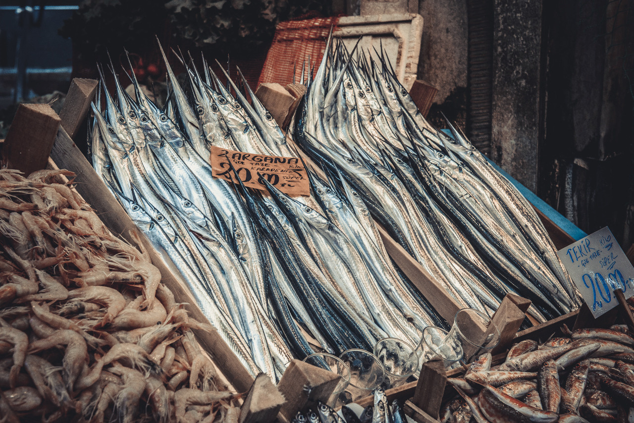 Турция'15. Юлия Розанова, коммерческий фоторепортаж в Москве