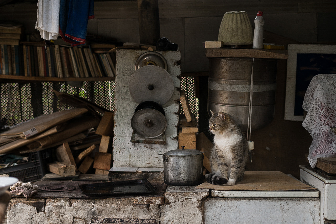 Рязань-Касимов. Друзья. Юлия Розанова, коммерческий фоторепортаж в Москве