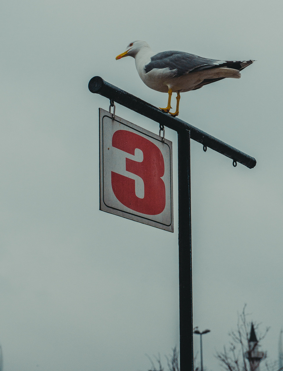 Турция'15. Юлия Розанова, коммерческий фоторепортаж в Москве