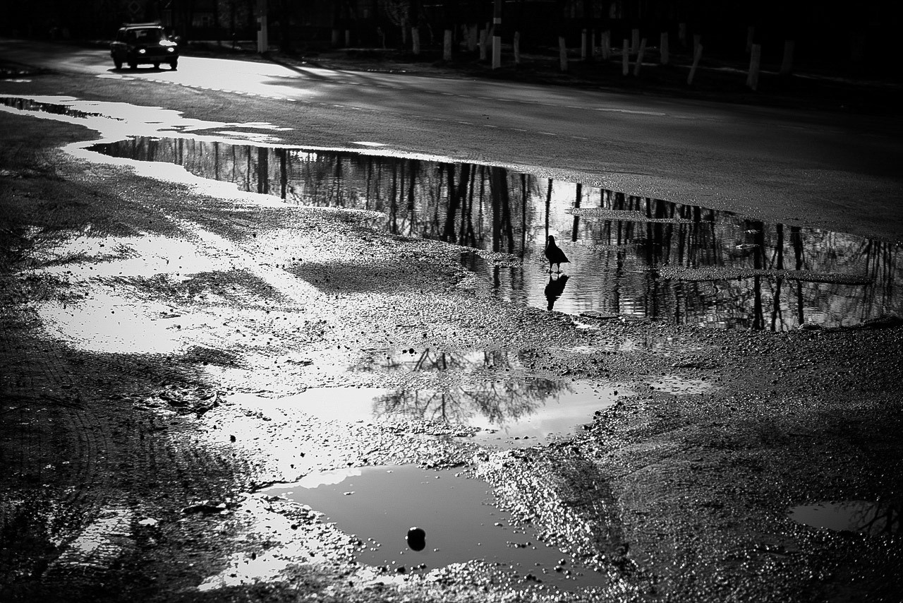 Рязань-Касимов. Друзья. Юлия Розанова, коммерческий фоторепортаж в Москве