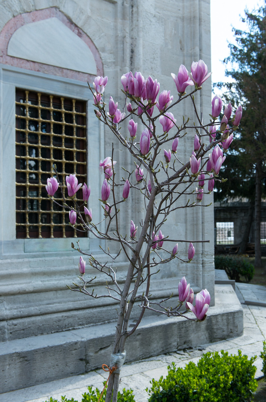 Турция'15. Юлия Розанова, коммерческий фоторепортаж в Москве