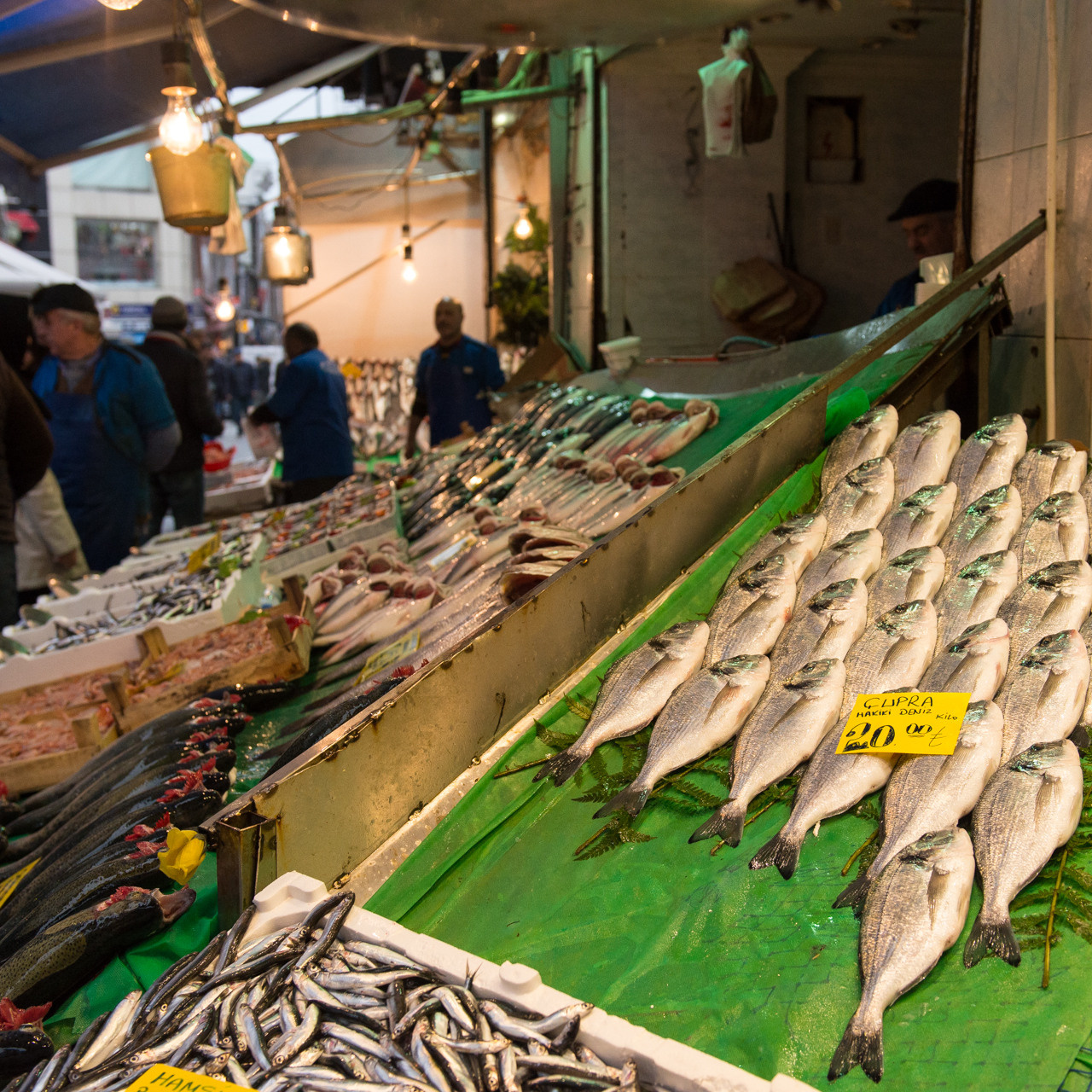 Турция'15. Юлия Розанова, коммерческий фоторепортаж в Москве