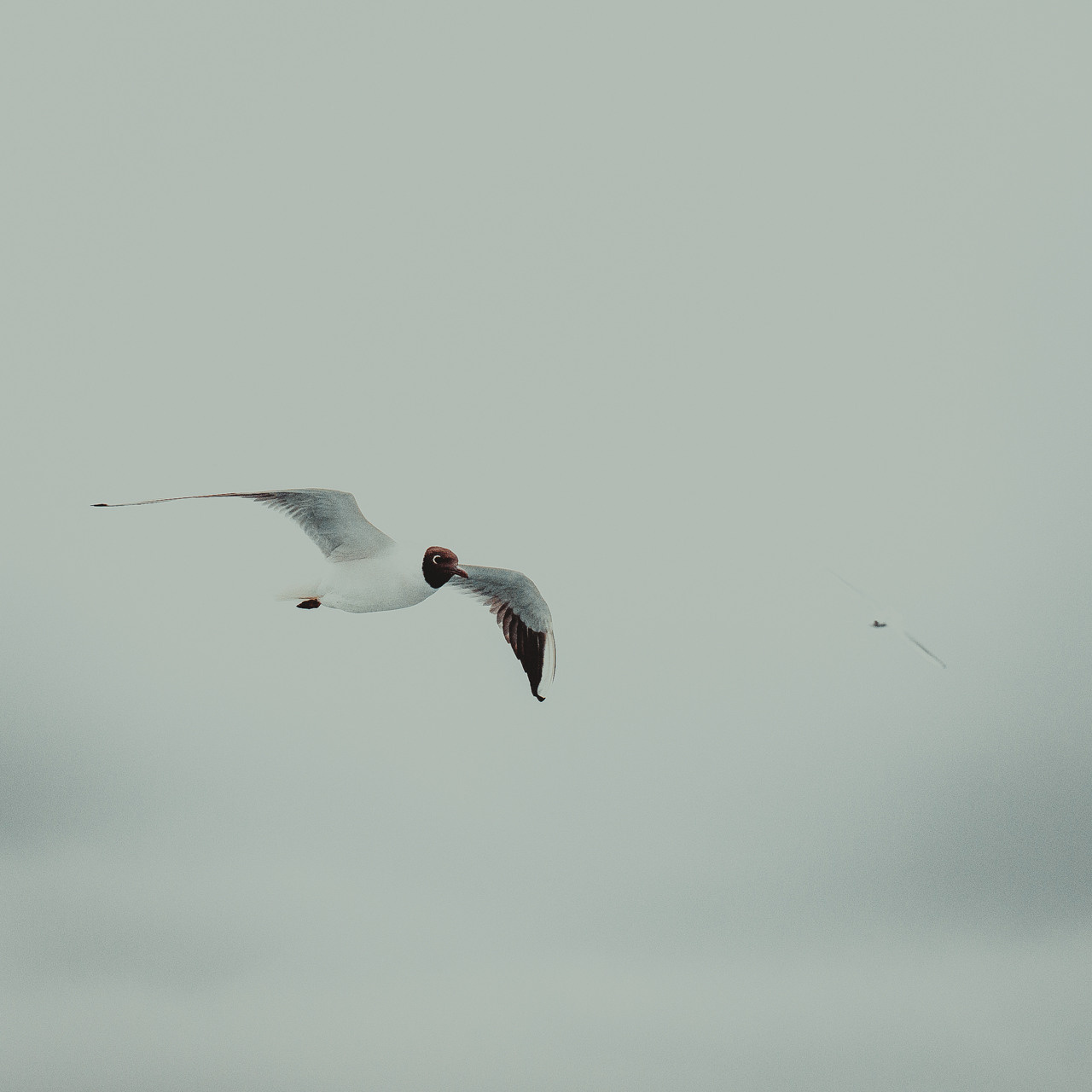 Турция'15. Юлия Розанова, коммерческий фоторепортаж в Москве
