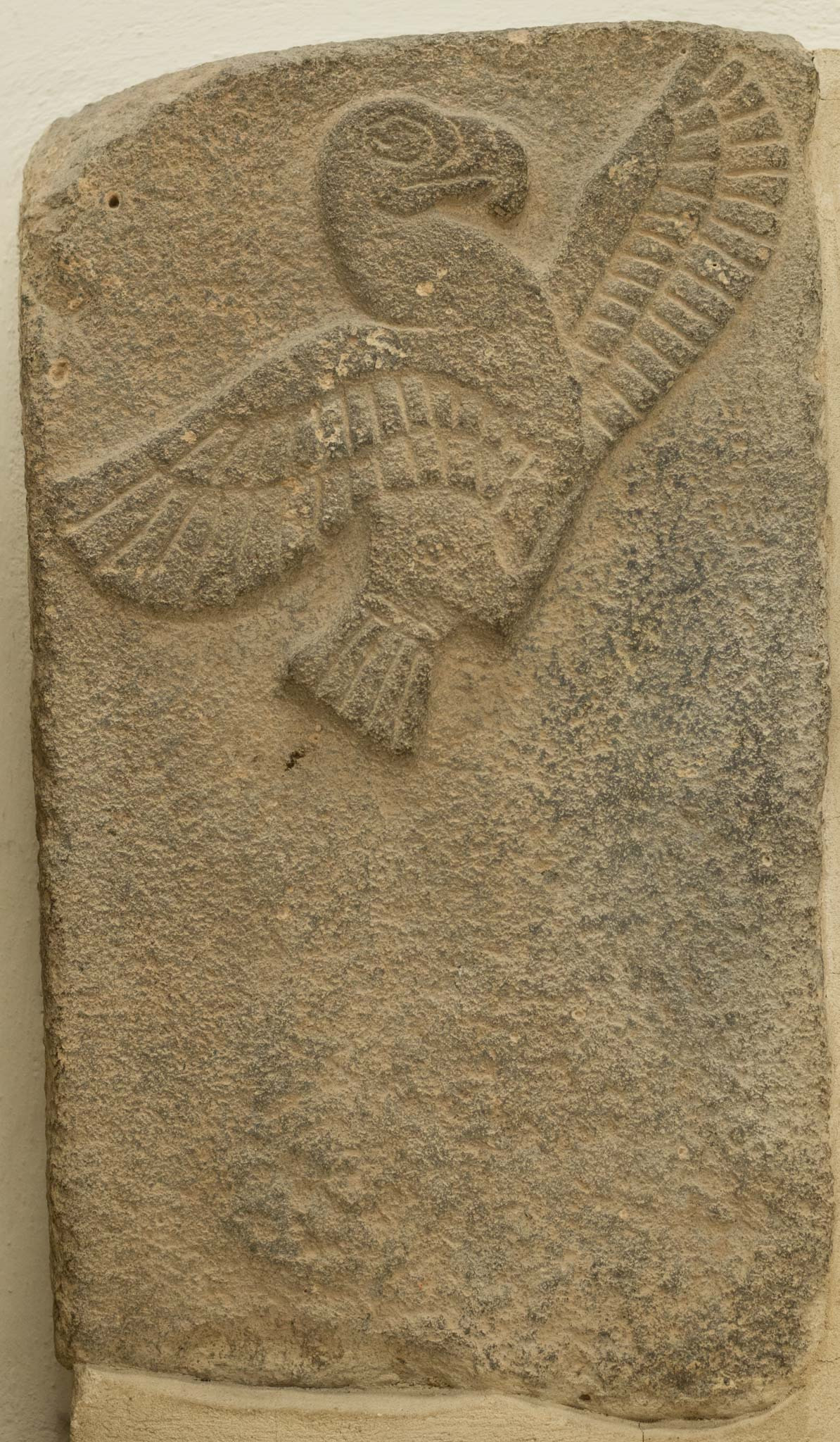 Берлин Jan '15. Юлия Розанова, коммерческий фоторепортаж в Москве