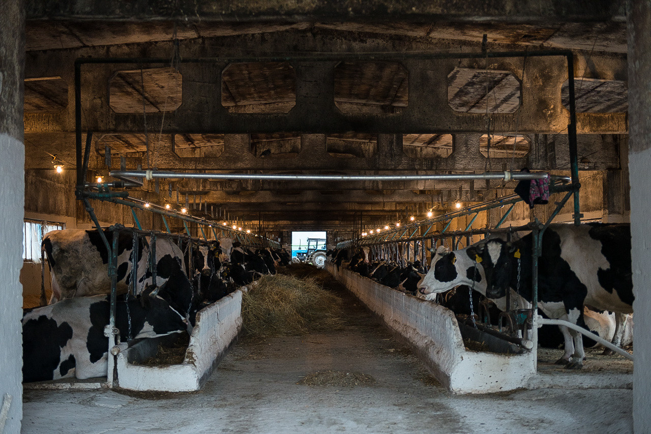 Рязань-Касимов. Друзья. Юлия Розанова, коммерческий фоторепортаж в Москве