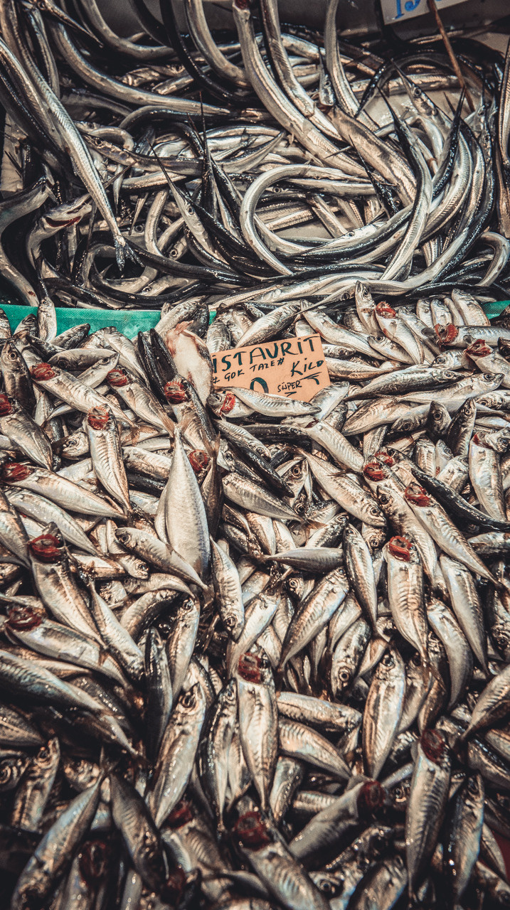 Турция'15. Юлия Розанова, коммерческий фоторепортаж в Москве