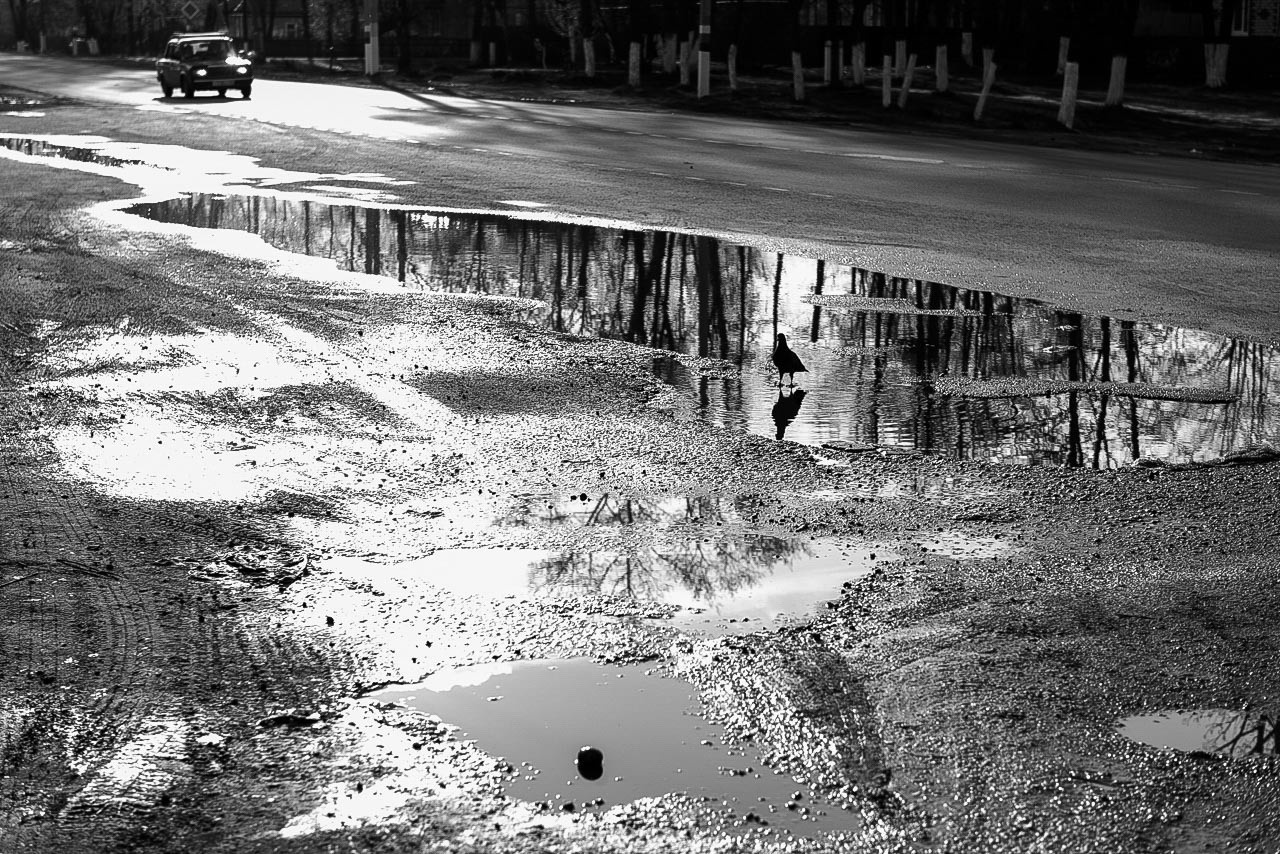 Рязань-Касимов. Друзья. Юлия Розанова, коммерческий фоторепортаж в Москве