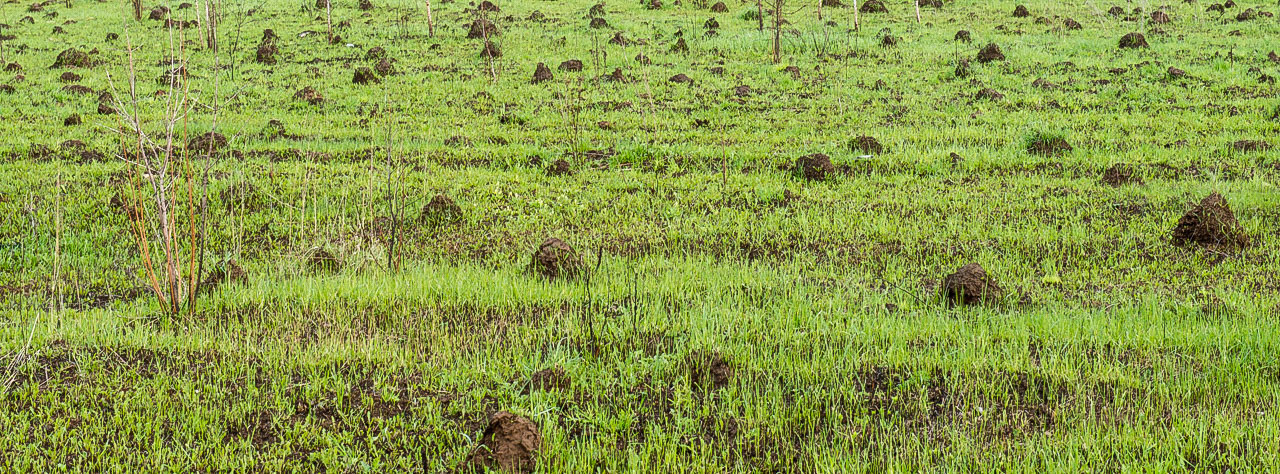 Рязань-Касимов. Друзья. Юлия Розанова, коммерческий фоторепортаж в Москве