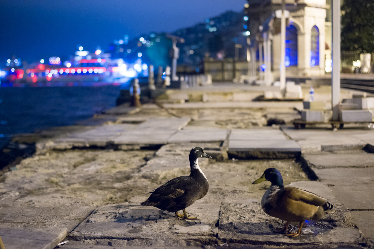 Турция'15. Юлия Розанова, коммерческий фоторепортаж в Москве