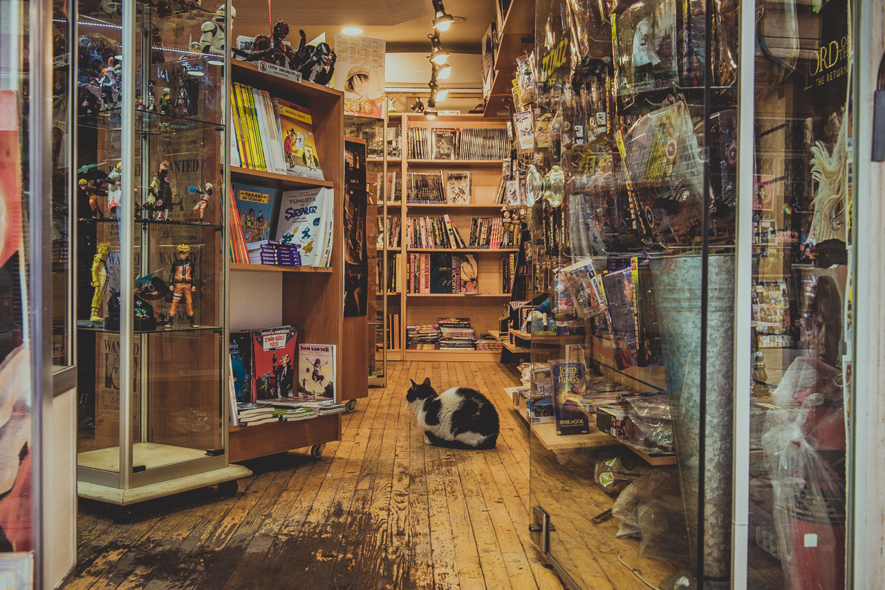 Турция'15. Юлия Розанова, коммерческий фоторепортаж в Москве