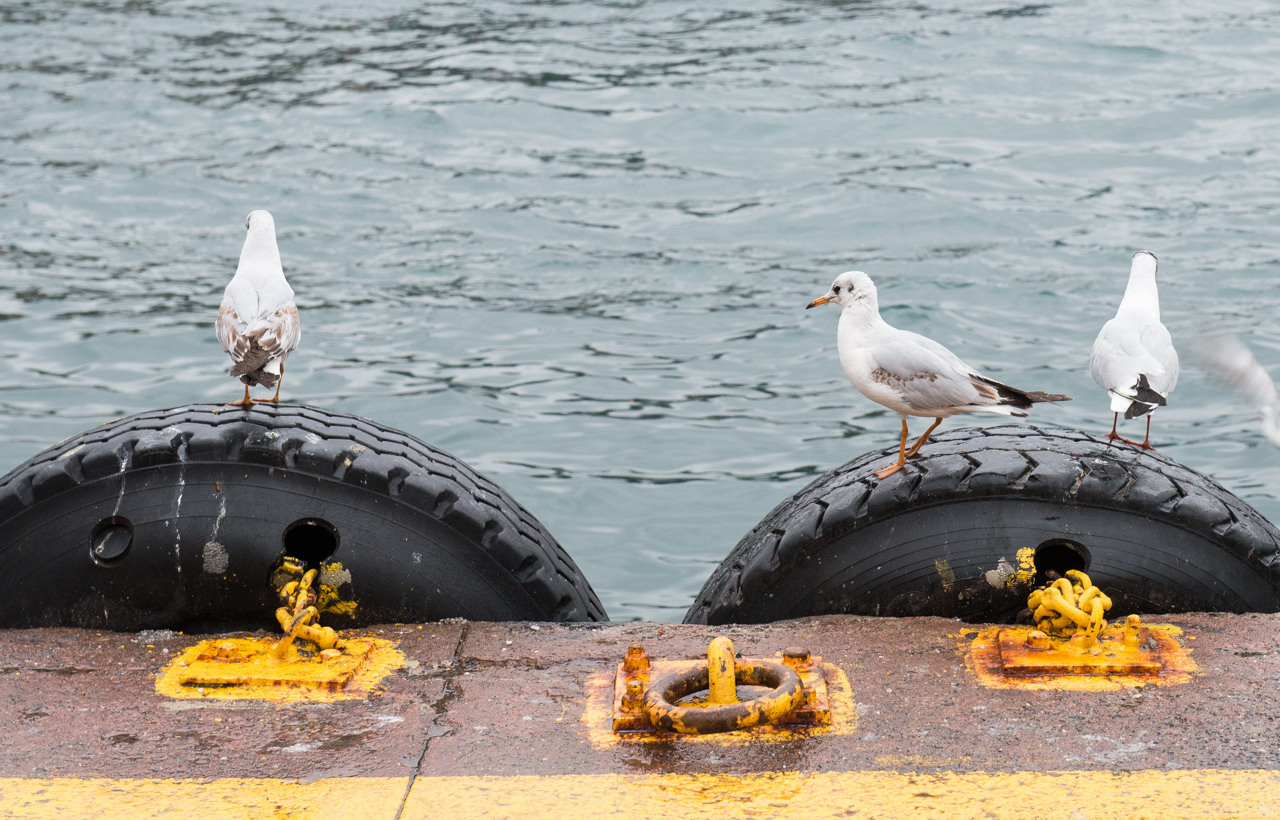 Турция'15. Юлия Розанова, коммерческий фоторепортаж в Москве