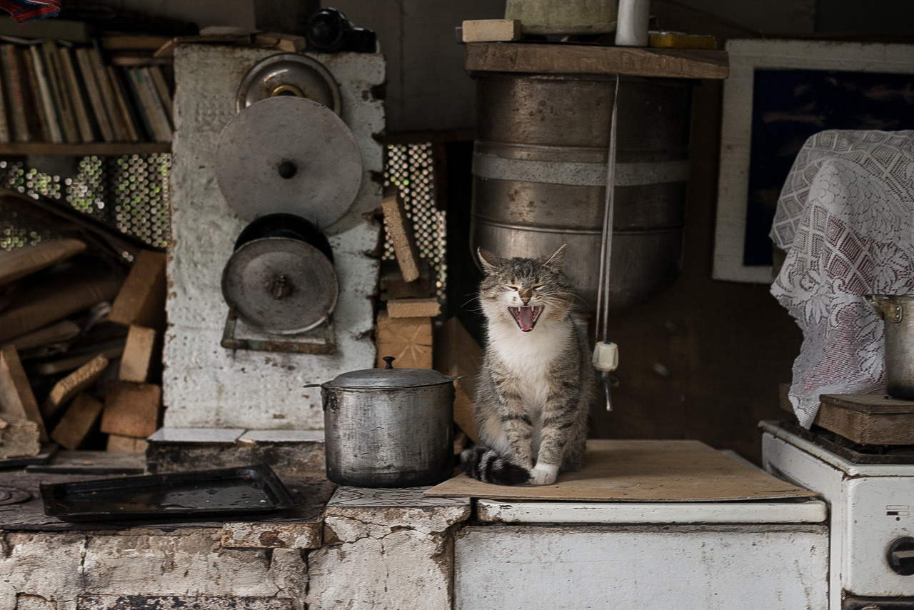 Рязань-Касимов. Друзья. Юлия Розанова, коммерческий фоторепортаж в Москве
