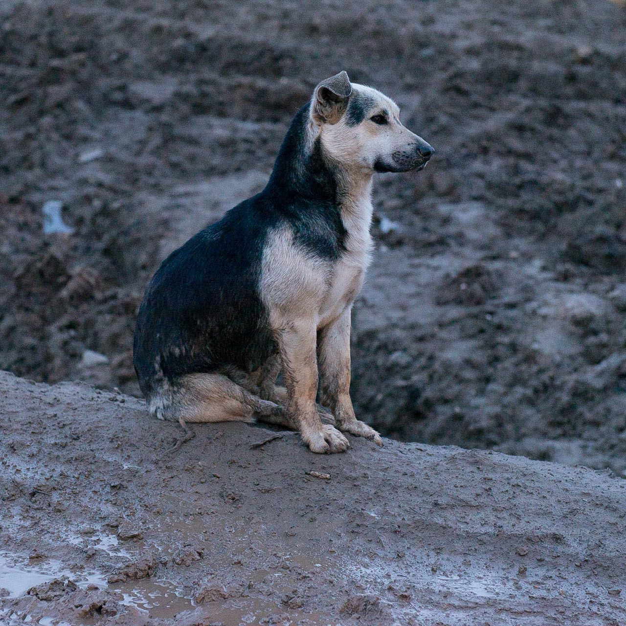 Рязань-Касимов. Друзья. Юлия Розанова, коммерческий фоторепортаж в Москве