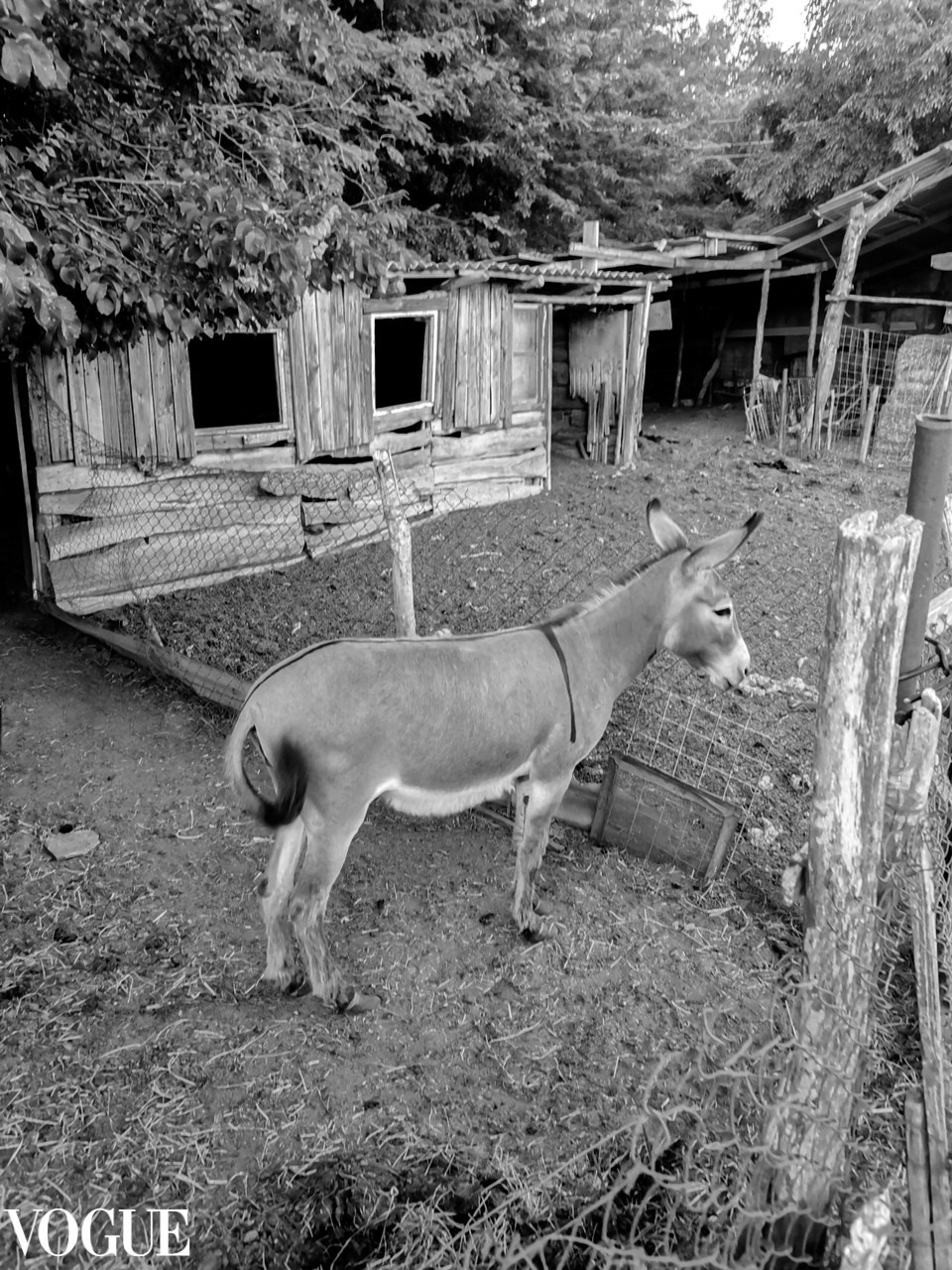 Публикация. Фотограф в Сочи Марина Барс