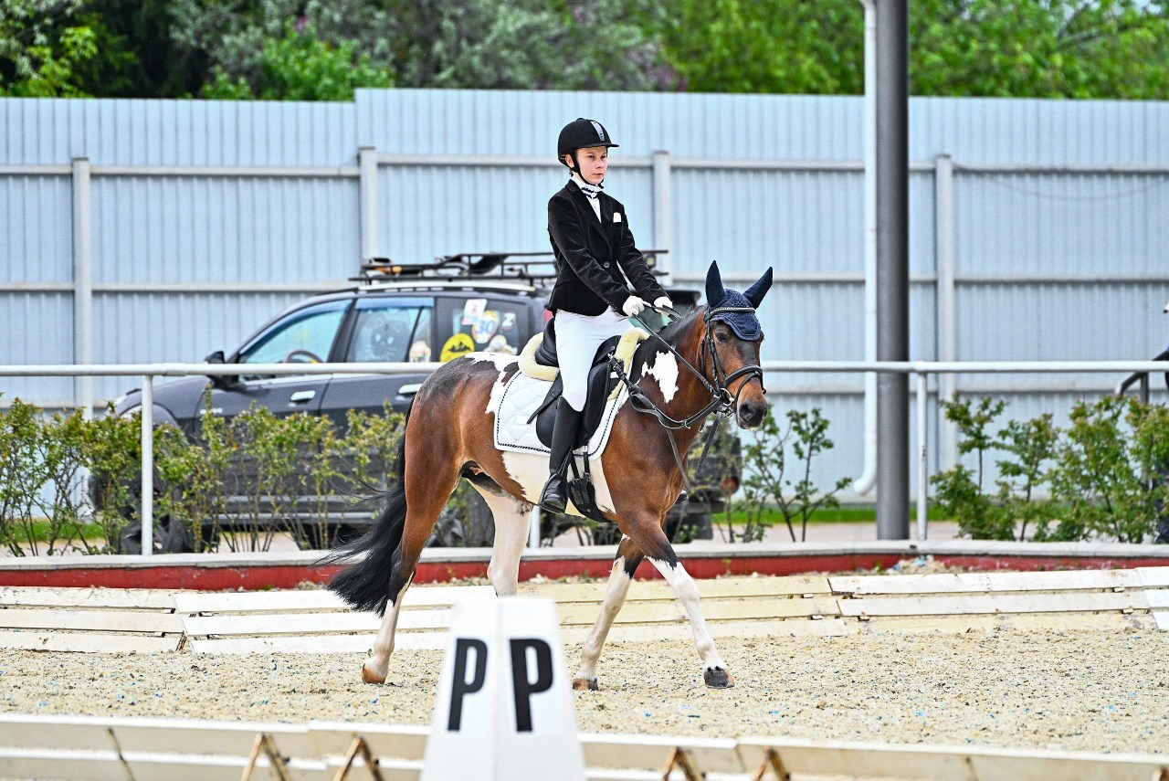Отзывы. ТУРНИРНАЯ КОННАЯ ФОТОГРАФИЯ, Руднева Ольга и Евгений Адеев