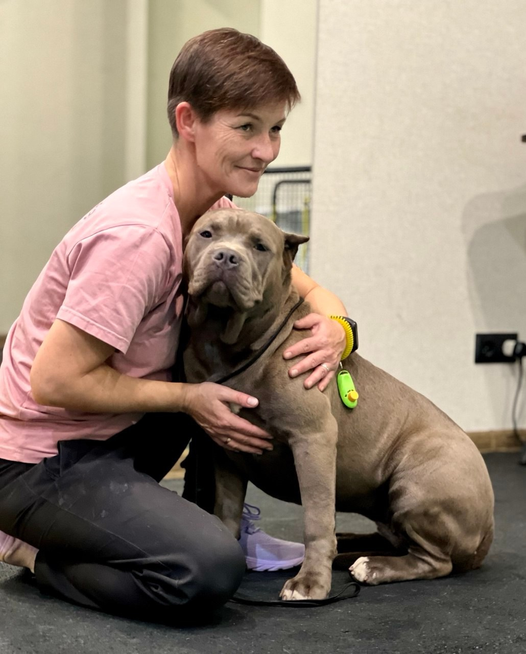 UPB’s Queenie & Zeus. 16.04.24. Американские булли XL в г. Калининград. Питомник Great Bully UNIVERSE