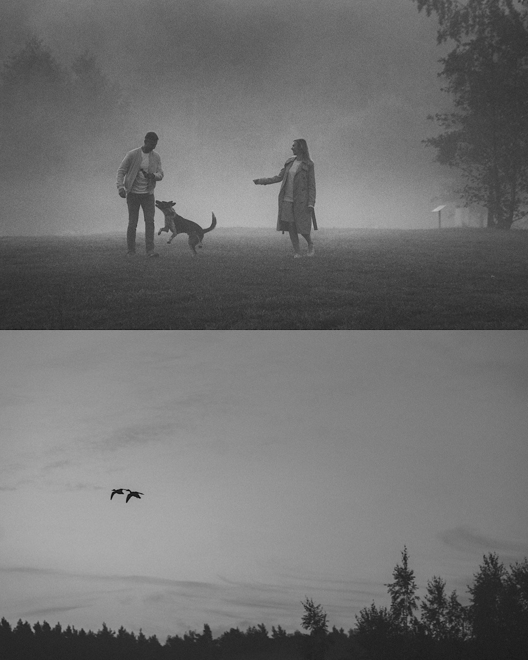 Катя, Сергей и Флинт. Фотограф анималист в Москве и Санкт-Петербурге Свиридова Анна