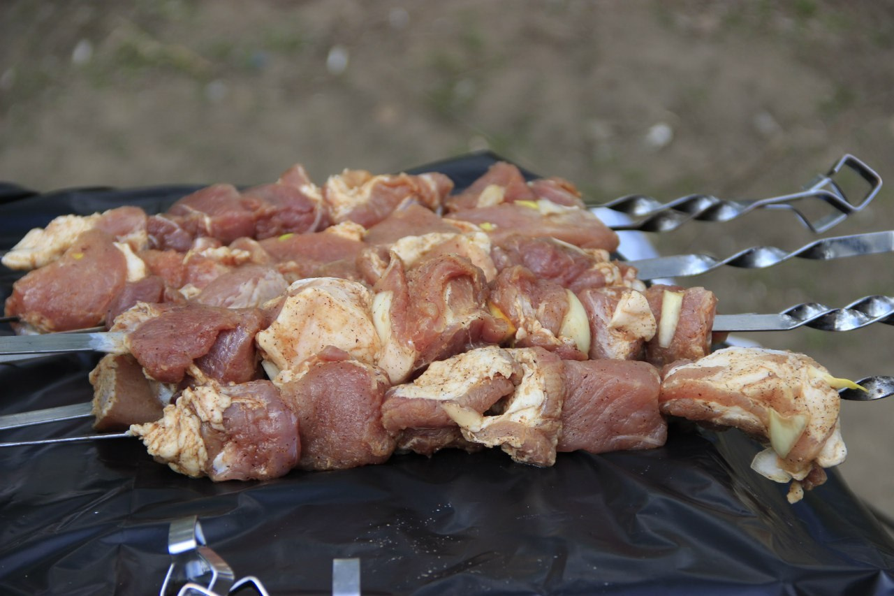 Шашлыки | 01.05.2016. Галерея Фантим