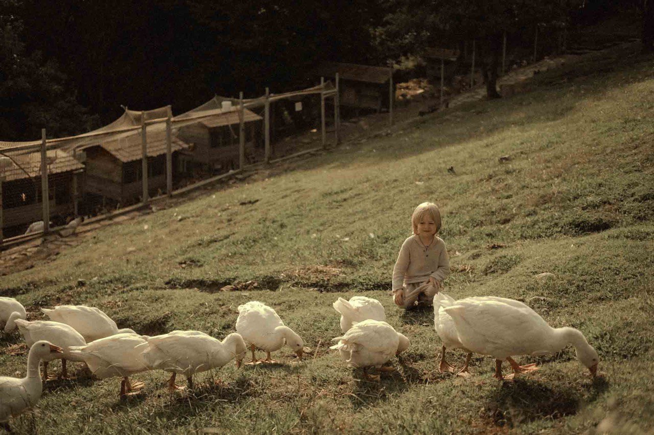 Ферма. Главная