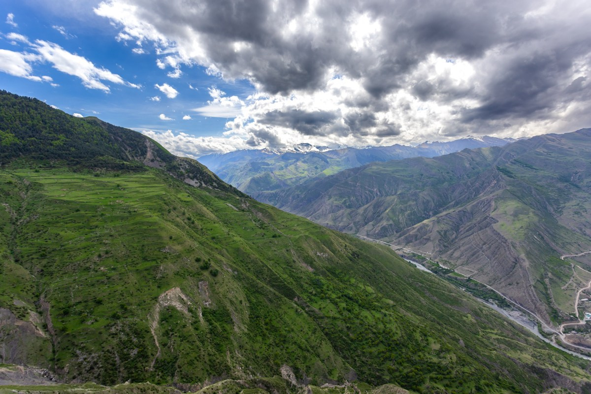 Язык Тролля. Photomantis