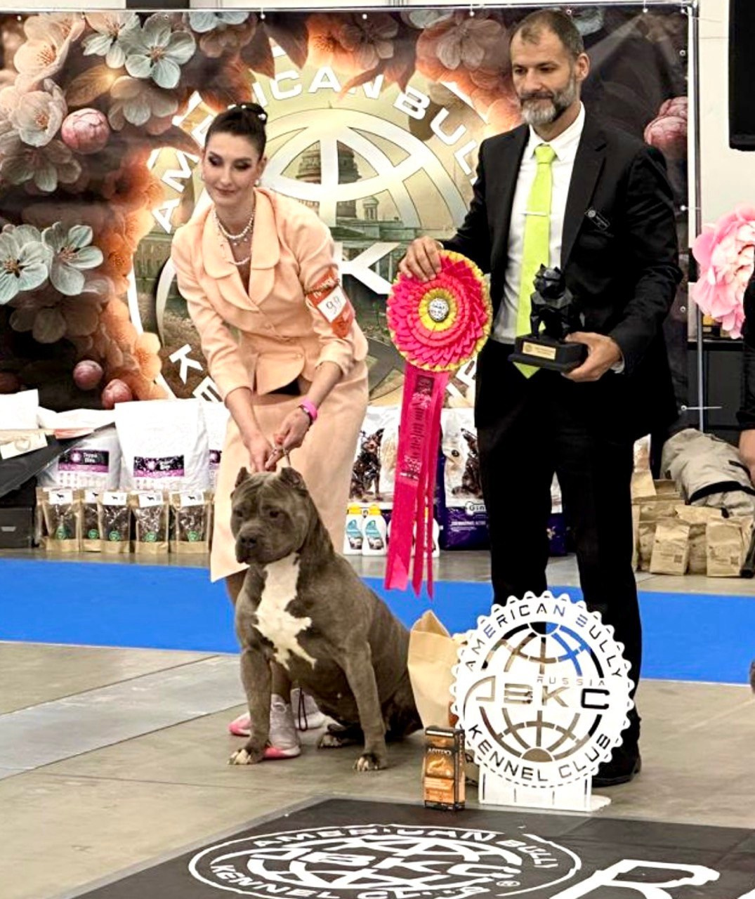 Участие в выставках. Американские булли XL в г. Калининград. Питомник Great Bully UNIVERSE