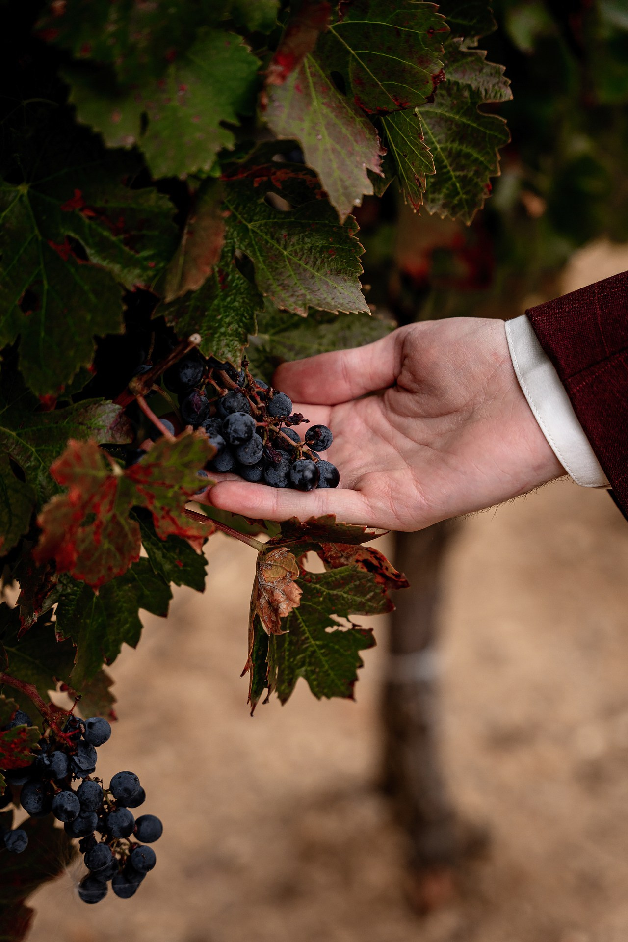 Свадебная съемка с Итальянским вайбом. Саша Потапкин Фотограф. Сочи, Екатеринбург, Москва