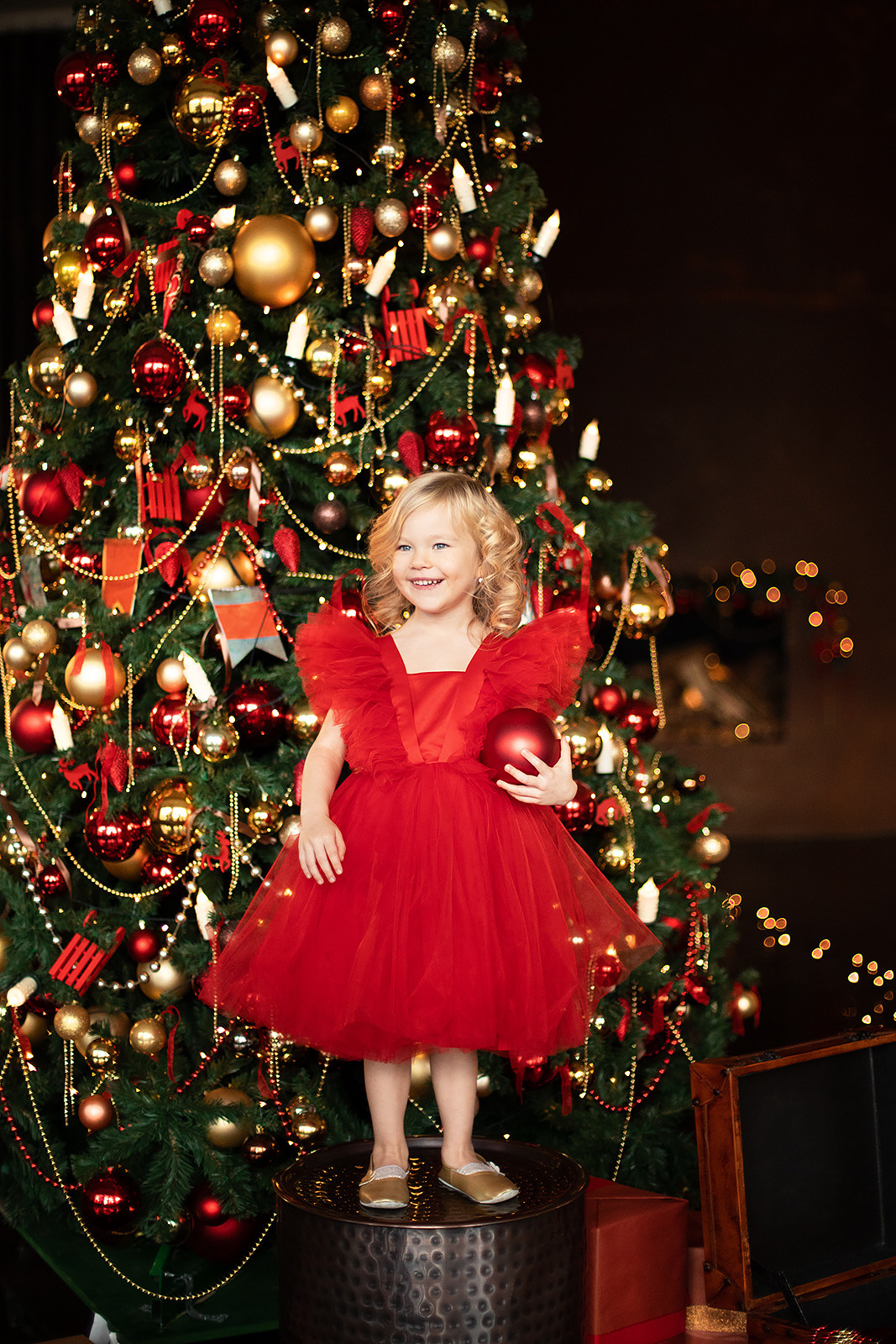 детский фотограф, семейный фотограф, фотограф москва, детская фотосессия, фотограф в москве, жижикина галина, фотограф для ребенка, фотосессия в москве, фотограф детей, фотографирую детей, фотограф на новый год, новогодняя фотосессия, новогодний фотосет, фотосессия на новый год